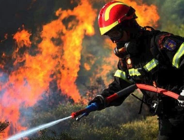 Πυρκαγιά σε εξέλιξη σε δασική περιοχή στην Ηλεία